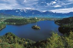 beautiful-bled_resized