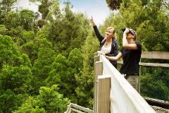 Sanctuary Mountain Maungatautari viewing tower