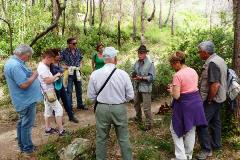 Group of beekeepers at their tour