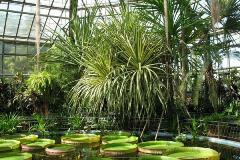 Botanical garden Cluj Napoca