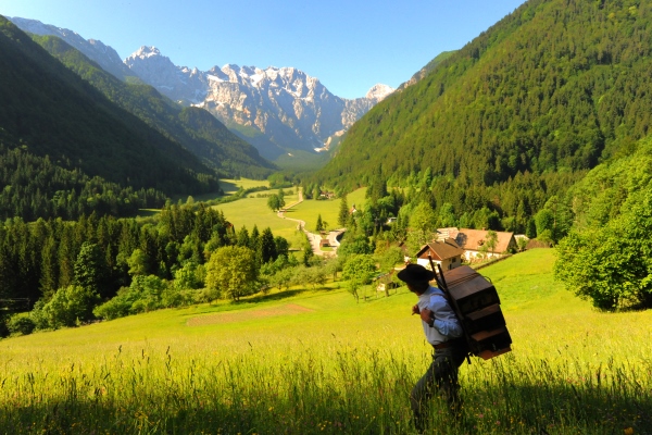 Beekeeper in Logarska valley_resized