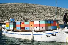 Beekeepin on Kornati islands, Croatia