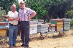 Sharing experiences with local beekeepers