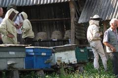 Visit to an apitherapist & beekeeper