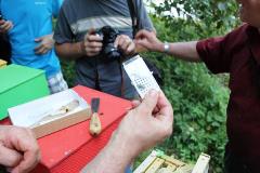 Visit to a queen breeding station