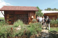 Group visiting typical Slovenian bee house