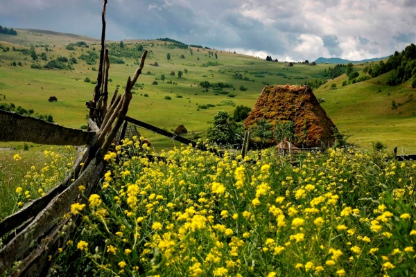 Apuseni mountains